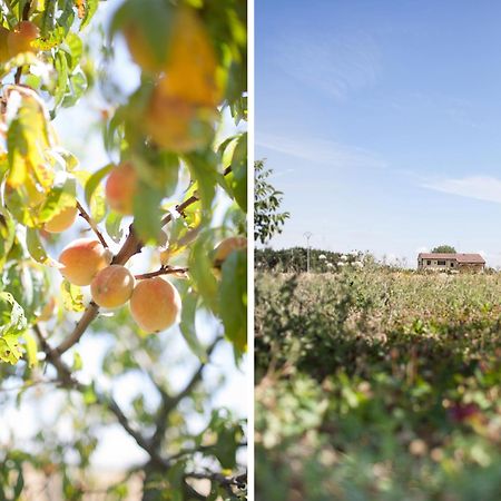 בית הארחה פארמה 	Agriturismo Il Mondo מראה חיצוני תמונה